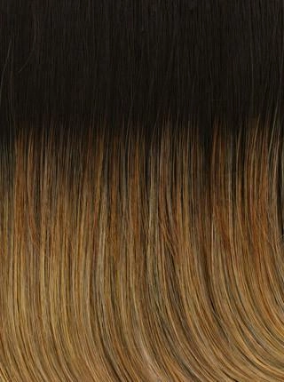 Show Stopper Wig by Raquel Welch | Heat Friendly Synthetic (Lace Front Mono Top)