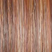 Simmer Elite Petite Wig by Raquel Welch | 100% Hand Tied Heat Friendly Synthetic Lace Front (Mono)