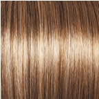 Soft and Subtle Petite/Average Wig by Gabor | Synthetic (Lace Front Mono Part)