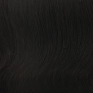 Sparkle Elite wig - Raquel Welch
