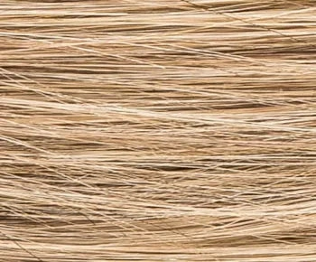 Spring Hi wig - Ellen Wille Hairpower Collection