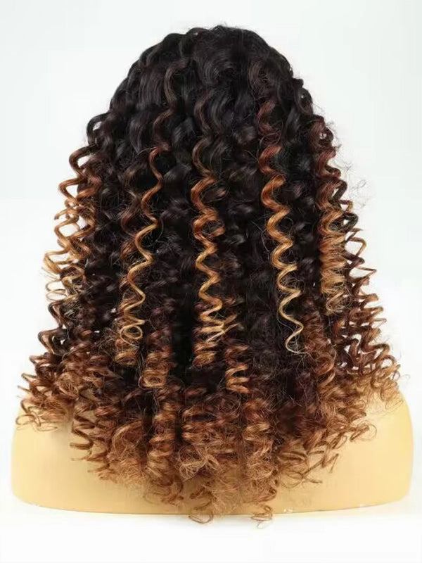 Stylish Balayage Bouncy Curly 6in Fitted Glueless HD Lace Wig GW03