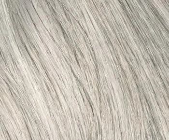 Tandi wig - Envy Collection
