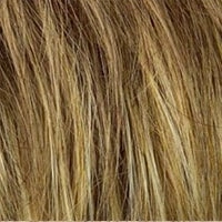 Voltage Petite wig - Raquel Welch