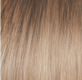Voltage Wig by Raquel Welch | Synthetic (Basic Cap)
