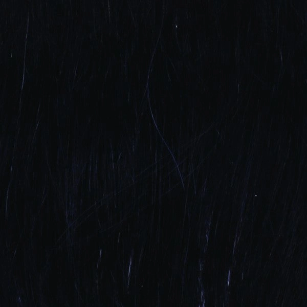 Voltage Wig by Raquel Welch | Synthetic Hair | Petite Cap