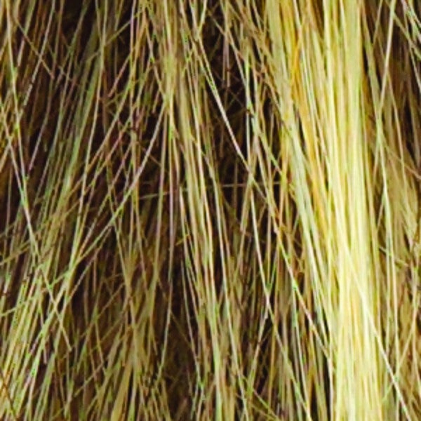 Voltage Wig by Raquel Welch | Synthetic Hair | Petite Cap