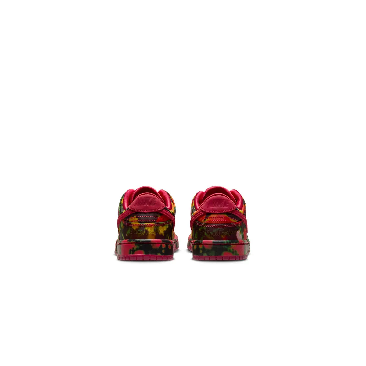   Wizard of Oz Kids SB Dunk Low Pro 'Poppy Fields'