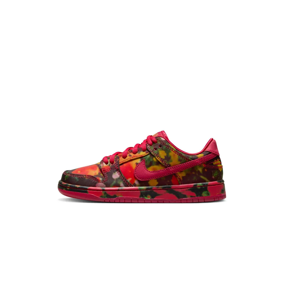   Wizard of Oz Kids SB Dunk Low Pro 'Poppy Fields'