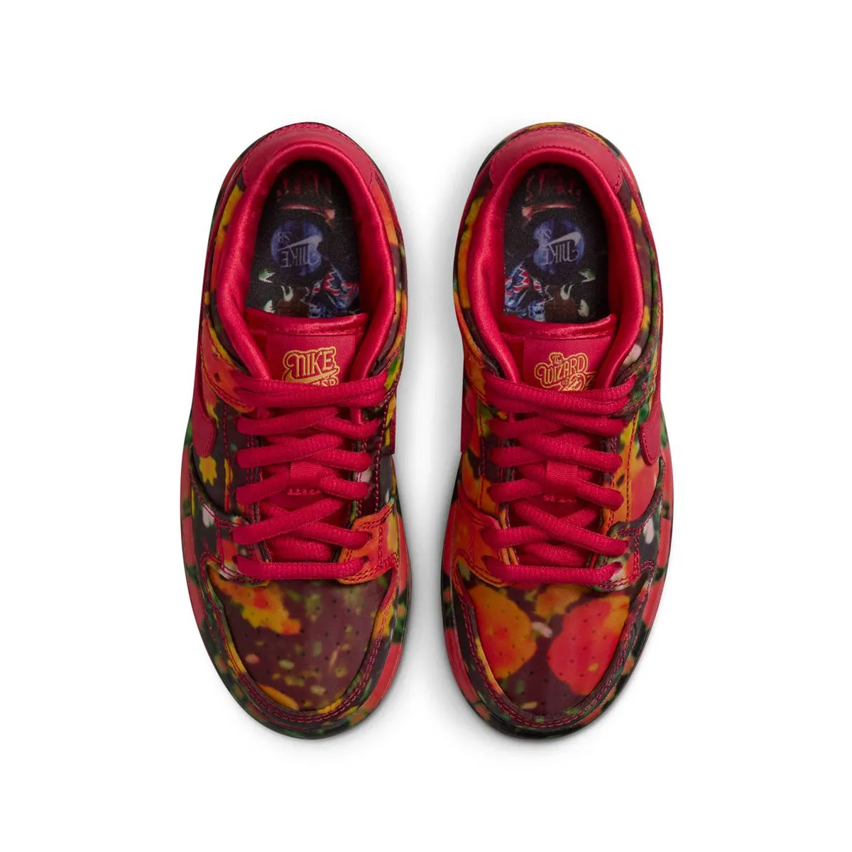   Wizard of Oz Kids SB Dunk Low Pro 'Poppy Fields'